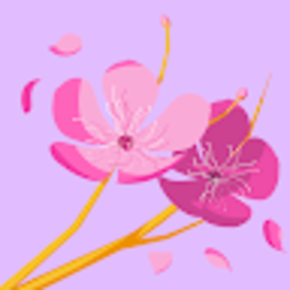 Meet your Posher, Melissa - Picture 1 of 1